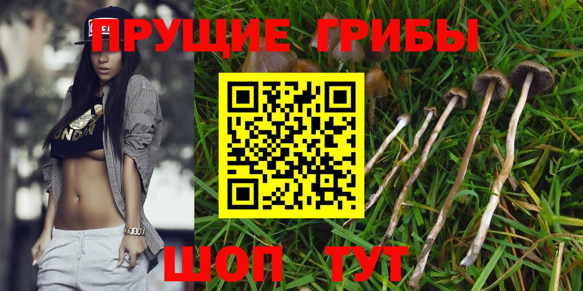 Галлюциногенные грибы мухоморы  Вход с VPN  Реж  Галлюциногенные грибы GOLDEN TEACHER 